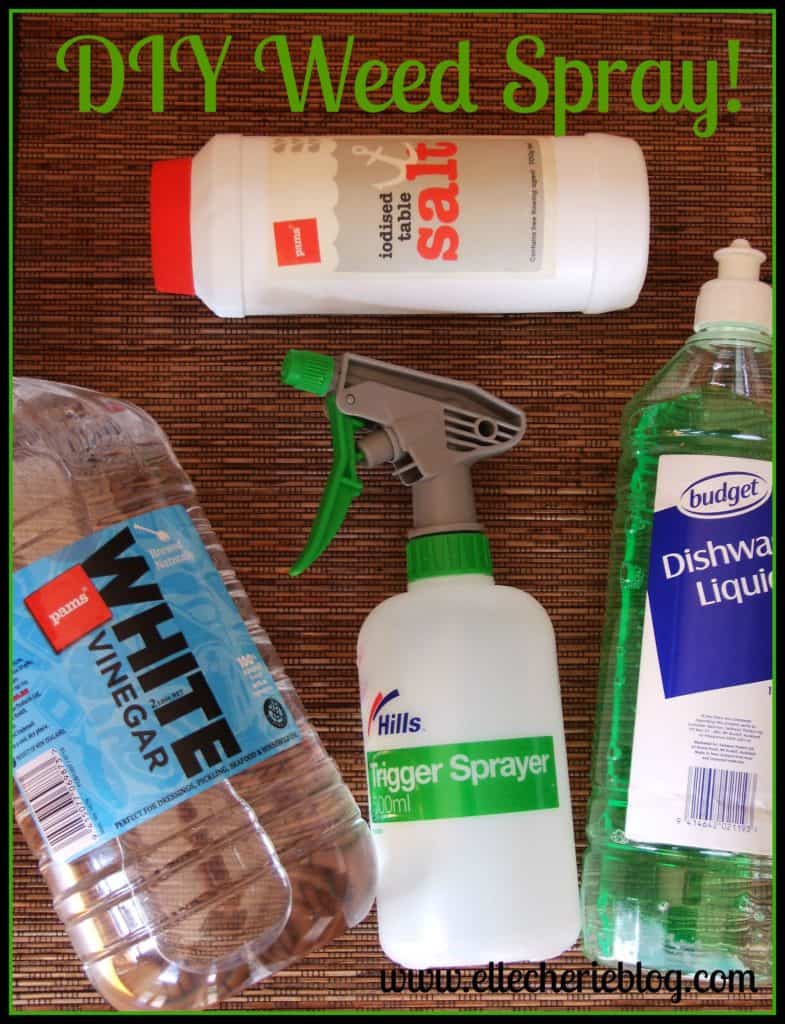 DIY Weed Spray! - Elle Cherie